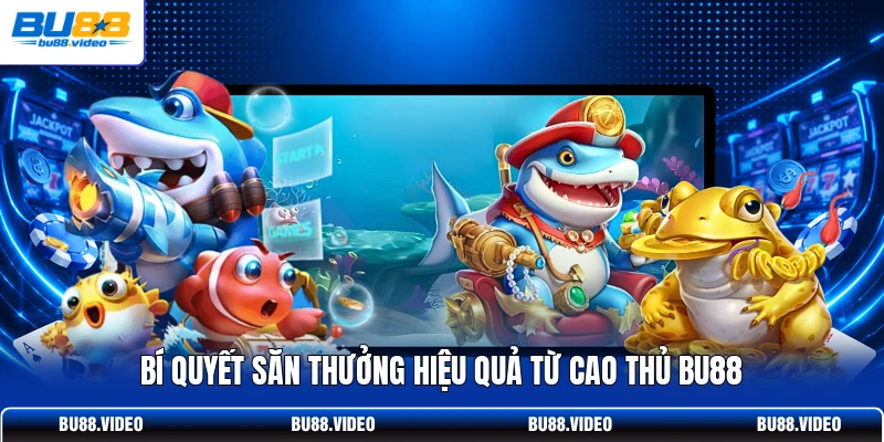Bí quyết săn thưởng hiệu quả từ cao thủ Bu88