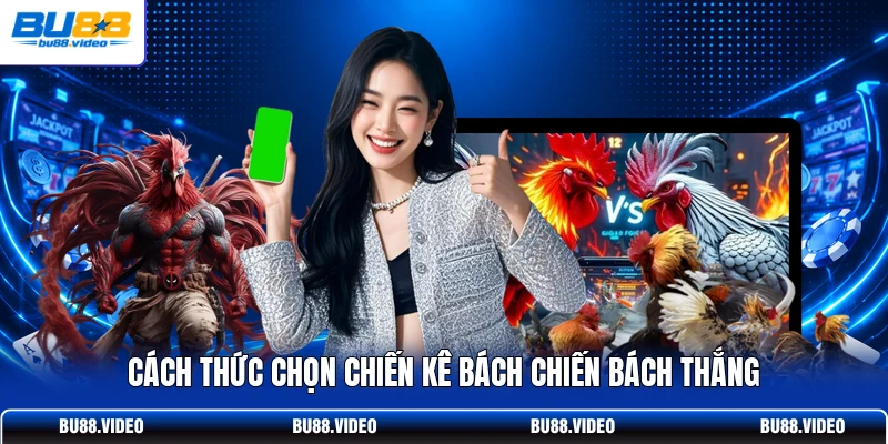 Cách thức chọn chiến kê bách chiến bách thắng