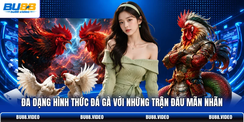 Đa dạng hình thức đá gà với những trận đấu mãn nhãn