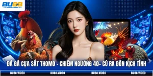 Đá Gà Cựa Sắt Thomo | Chiêm Ngưỡng 40+ Cú Ra Đòn Kịch Tính