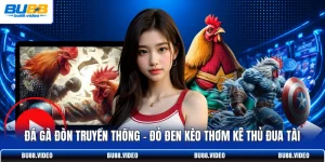 Đá Gà Đòn Truyền Thống | Đỏ Đen Kèo Thơm Kê Thủ Đua Tài